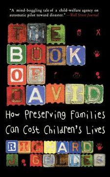 portada The Book of David: How Preserving Families can Cost Children's Lives (en Inglés)