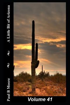 portada A Little Bit of Arizona: Volume 41 (en Inglés)