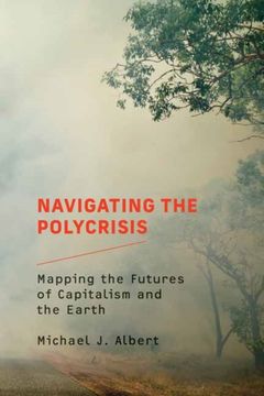 portada Navigating the Polycrisis: Mapping the Futures of Capitalism and the Earth (en Inglés)
