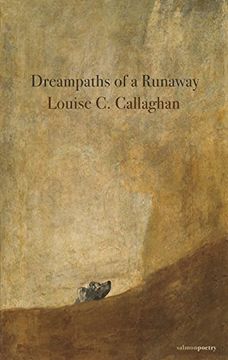 portada Dreampaths of a Runaway