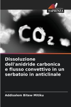portada Dissoluzione dell'anidride carbonica e flusso convettivo in un serbatoio in anticlinale (en Italiano)