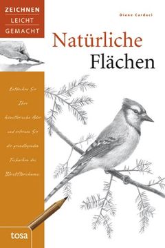 portada Natürliche Flächen: Zeichnen leicht gemacht (en Alemán)