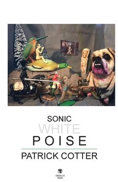 portada Sonic White Poise (in English)