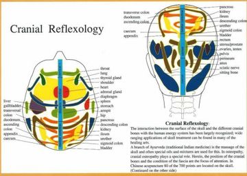 portada Cranial Reflexology -- a4 (in English)
