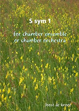 portada S sym 1 for Chamber Ensemble or Chamber Orchestra