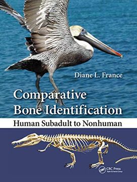 portada Comparative Bone Identification: Human Subadult to Nonhuman (en Inglés)