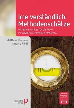 portada Irre Verständlich: Methodenschätze (en Alemán)