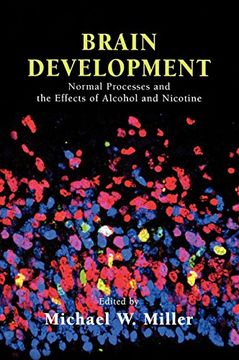 portada Brain Development: Normal Processes and the Effects of Alcohol and Nicotine (en Inglés)