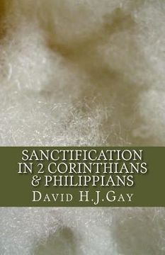 portada Sanctification in 2 Corinthians & Philippians (en Inglés)