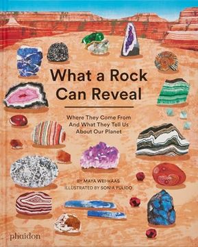 portada What a Rock can Reveal