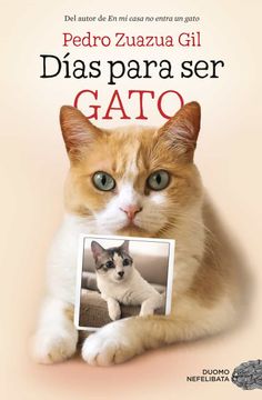 portada Días Para Ser Gato (in Spanish)