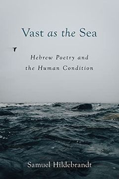 portada Vast as the Sea: Hebrew Poetry and the Human Condition (en Inglés)