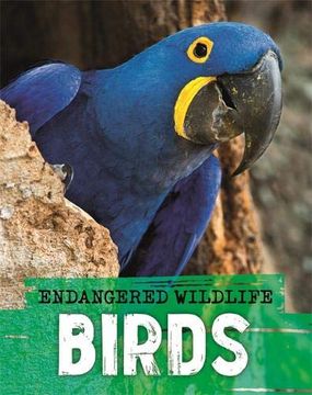 portada Endangered Wildlife: Rescuing Birds (en Inglés)