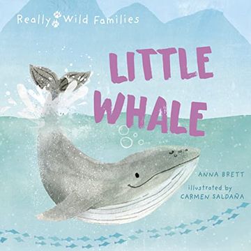 portada Little Whale
