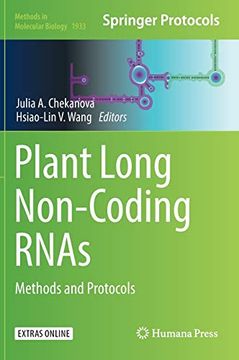 portada Plant Long Non-Coding Rnas: Methods and Protocols (Methods in Molecular Biology, 1933) (en Inglés)