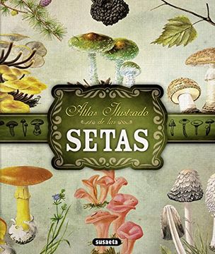 portada Atlas Ilustrado de Las Setas
