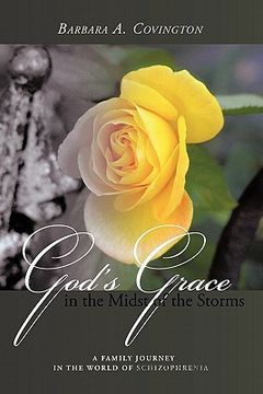 portada god`s grace in the midst of the storms
