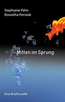 portada Mitten im Sprung: Eine Briefnovelle (in German)