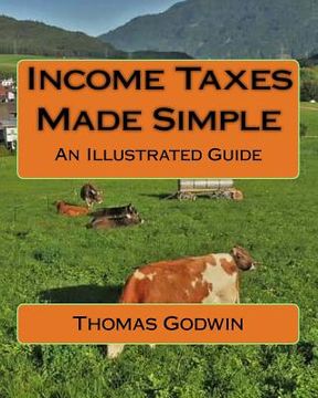 portada Income Taxes Made Simple: An Illustrated Guide