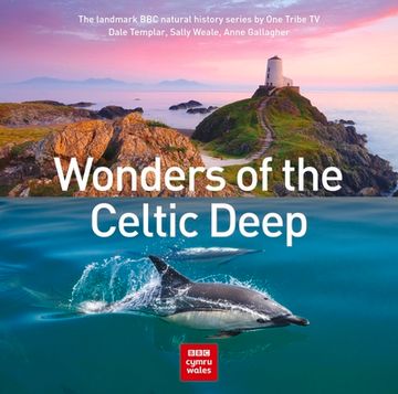portada Wonders of the Celtic Deep (en Inglés)