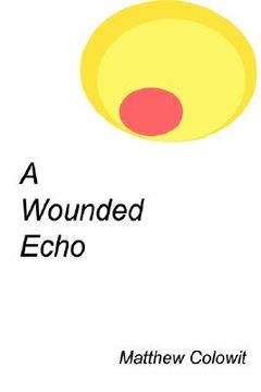 portada a wounded echo (en Inglés)