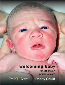 portada welcoming baby: reflections on perinatal care (en Inglés)