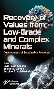 portada Recovery of Values from Low-Grade and Complex Minerals: Development of Sustainable Processes (en Inglés)