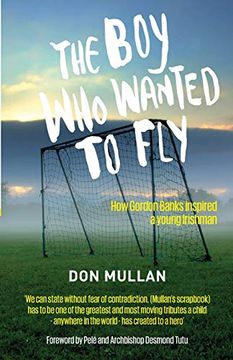portada The boy who Wanted to fly (in English)