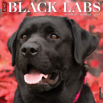 portada Just Black Labs 2024 Calendar (en Inglés)