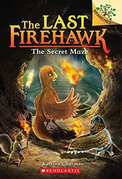 portada The Secret Maze: A Branches Book (The Last Firehawk #10), Volume 10 (in English)