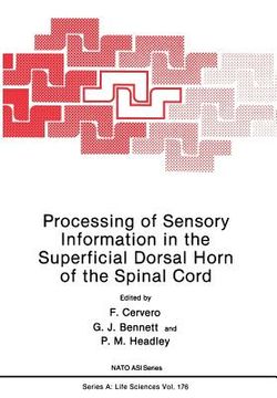 portada Processing of Sensory Information in the Superficial Dorsal Horn of the Spinal Cord (en Inglés)