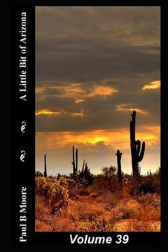 portada A Little Bit of Arizona: Volume 39 (en Inglés)