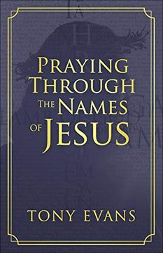 portada Praying Through the Names of Jesus (The Names of god Series) (en Inglés)