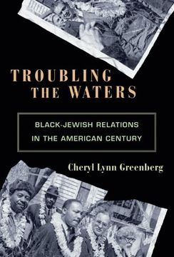 portada Troubling the Waters: Black-Jewish Relations in the American Century (Politics and Society in Modern America) (in English)