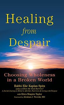portada Healing From Despair: Choosing Wholeness in a Broken World (en Inglés)