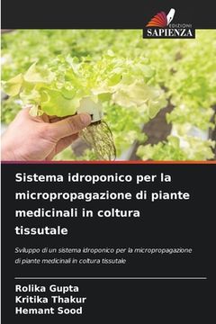 portada Sistema idroponico per la micropropagazione di piante medicinali in coltura tissutale