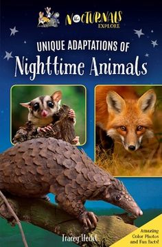 portada The Nocturnals Explore Unique Adaptations of Nighttime Animals: Nonfiction Chapter Book Companion to the Mysterious Abductions (in English)