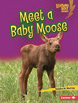 portada Meet a Baby Moose (Lightning Bolt Books ® ― Baby North American Animals) 