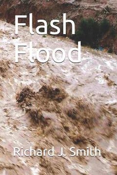 portada Flash Flood (en Inglés)