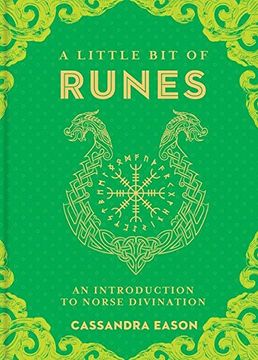 portada A Little Bit of Runes: An Introduction to Norse Divination (Little Bit Series) (in English)