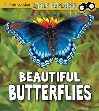 portada Beautiful Butterflies (Smithsonian Little Explorer: Insect Explorer) (en Inglés)