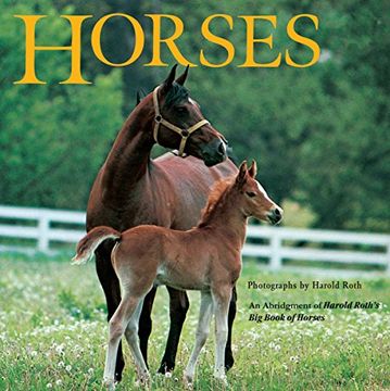 portada Horses 