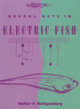 portada Neural Nets in Electric Fish (Computational Neuroscience Series) 