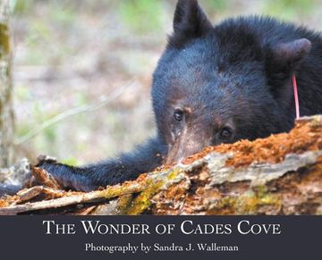 portada The Wonder of Cades Cove (en Inglés)