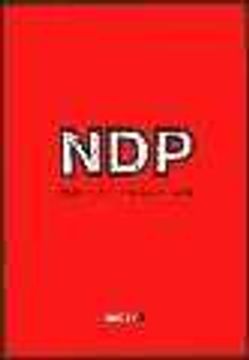 portada nueva doctrina penal (2004-b) revista ndp