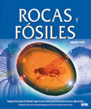 portada Rocas y fosiles