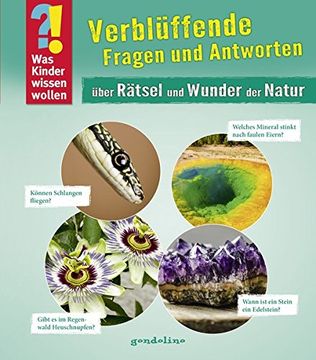 portada Was Kinder Wissen Wollen: Verblüffende Fragen und Antworten Über Rätsel und Wunder der Natur: Band 8 (en Alemán)