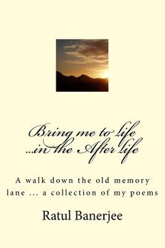 portada Bring me to life ...in the After life (in English)