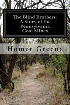 portada The Blind Brothers: A Story of the Pennsylvania Coal Mines (in English)