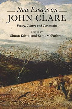 portada New Essays on John Clare (in English)